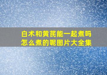 白术和黄芪能一起煮吗怎么煮的呢图片大全集