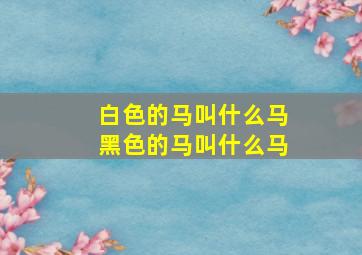 白色的马叫什么马黑色的马叫什么马