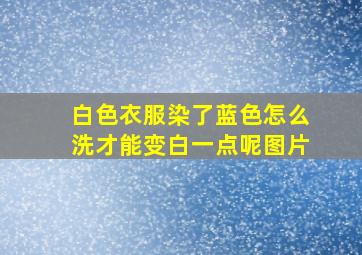 白色衣服染了蓝色怎么洗才能变白一点呢图片