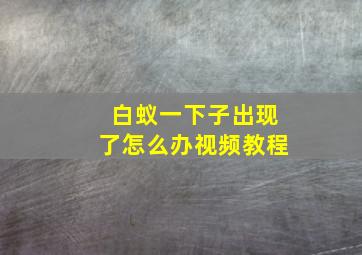 白蚁一下子出现了怎么办视频教程