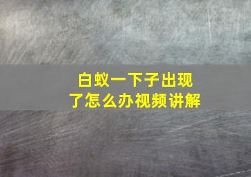 白蚁一下子出现了怎么办视频讲解