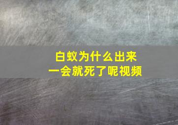 白蚁为什么出来一会就死了呢视频