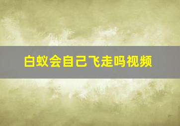 白蚁会自己飞走吗视频