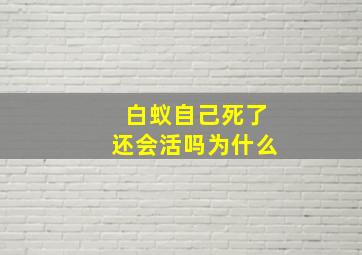 白蚁自己死了还会活吗为什么