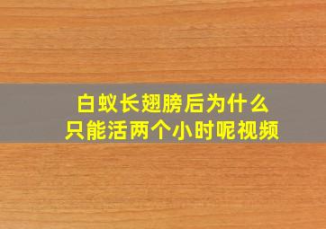 白蚁长翅膀后为什么只能活两个小时呢视频