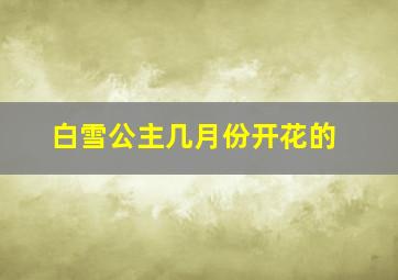 白雪公主几月份开花的