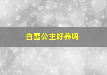 白雪公主好养吗