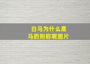 白马为什么是马的别称呢图片