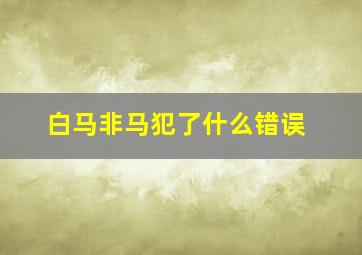 白马非马犯了什么错误