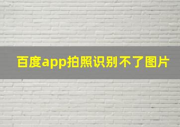 百度app拍照识别不了图片