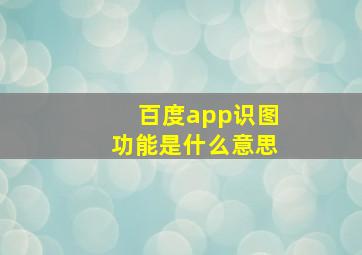 百度app识图功能是什么意思