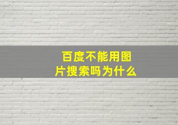 百度不能用图片搜索吗为什么