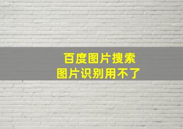 百度图片搜索图片识别用不了