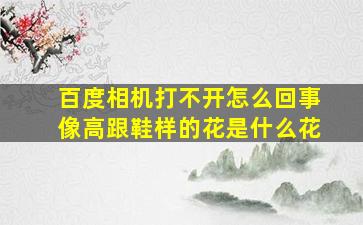 百度相机打不开怎么回事像高跟鞋样的花是什么花