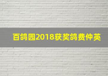 百鸽园2018获奖鸽费仲英