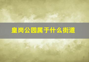 皇岗公园属于什么街道