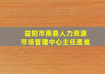 益阳市南县人力资源市场管理中心主任是谁