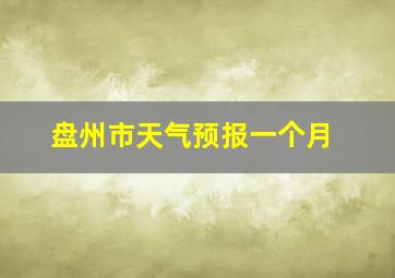 盘州市天气预报一个月