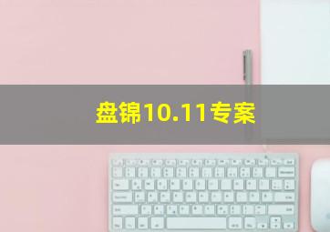 盘锦10.11专案