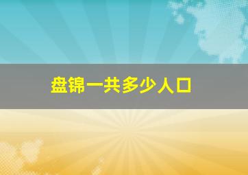 盘锦一共多少人口