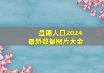 盘锦人口2024最新数据图片大全