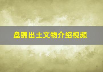 盘锦出土文物介绍视频