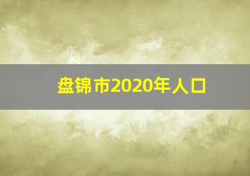 盘锦市2020年人口