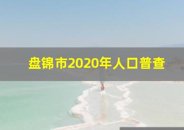 盘锦市2020年人口普查