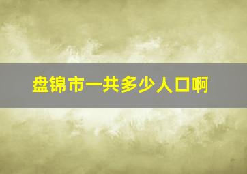 盘锦市一共多少人口啊