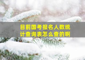 目前国考报名人数统计查询表怎么查的啊