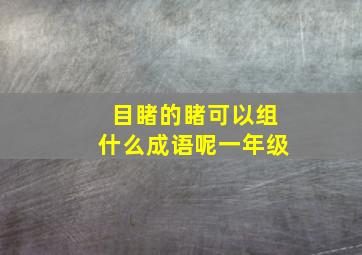 目睹的睹可以组什么成语呢一年级