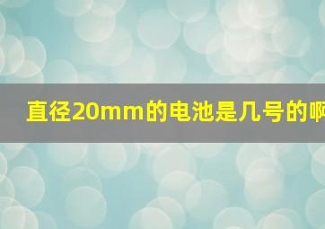 直径20mm的电池是几号的啊