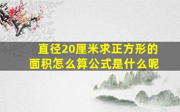 直径20厘米求正方形的面积怎么算公式是什么呢