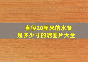 直径20厘米的水管是多少寸的呢图片大全