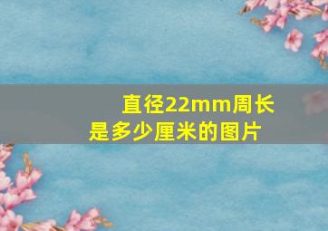 直径22mm周长是多少厘米的图片