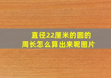 直径22厘米的圆的周长怎么算出来呢图片