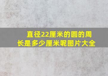 直径22厘米的圆的周长是多少厘米呢图片大全