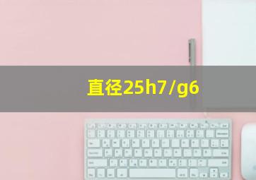 直径25h7/g6