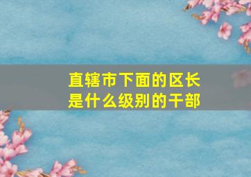 直辖市下面的区长是什么级别的干部