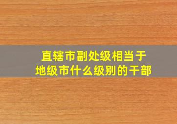 直辖市副处级相当于地级市什么级别的干部