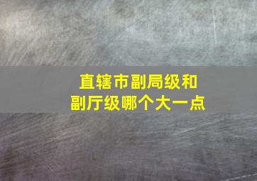 直辖市副局级和副厅级哪个大一点