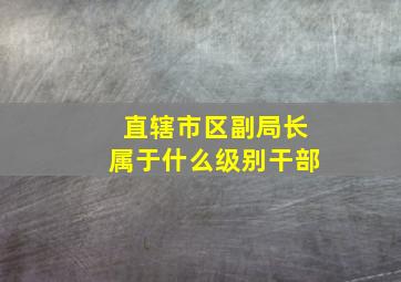 直辖市区副局长属于什么级别干部