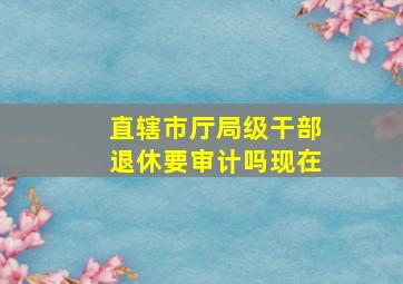 直辖市厅局级干部退休要审计吗现在