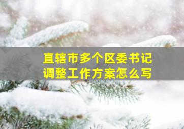 直辖市多个区委书记调整工作方案怎么写