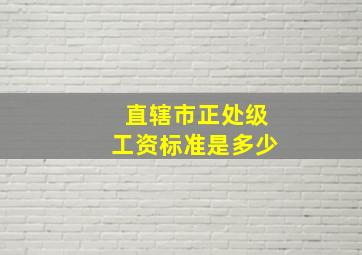 直辖市正处级工资标准是多少