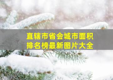 直辖市省会城市面积排名榜最新图片大全