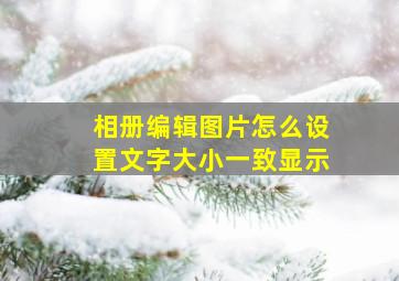 相册编辑图片怎么设置文字大小一致显示