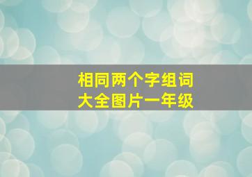 相同两个字组词大全图片一年级