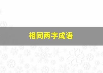 相同两字成语