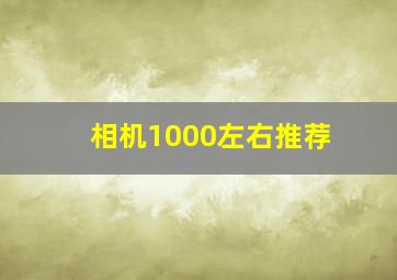 相机1000左右推荐